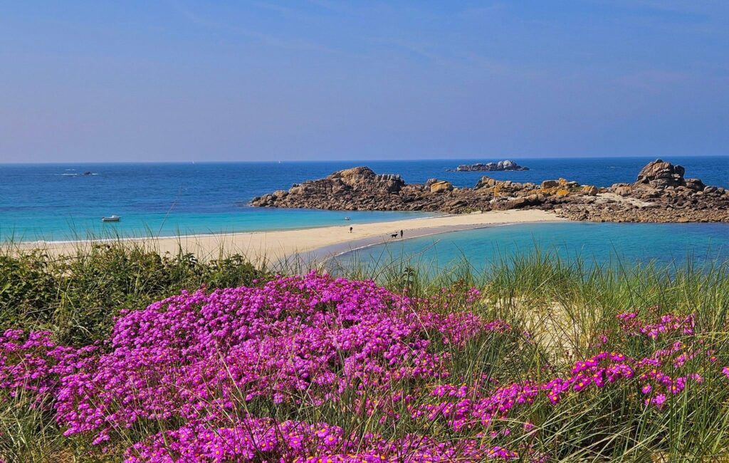 plage des Amiets Cléder sable blanc rochers criques bord de mer Finistère Bretagne baignade pêche à pied GR34 sentier côtier, beach Amiets Cléder white sand rocks coves seaside Brittany France swimming shellfish fishing GR34 coastal path, Strand Amiets Cléder weißer Sand Felsen Buchten Meerseite Bretagne Schwimmen Strandangeln GR34 Küstenpfad
