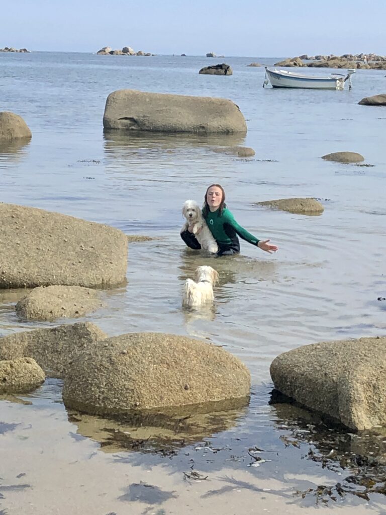 chien plage sable blanc dog friendly Bretagne Finistère Cléder Plouescat Roscoff vacances bord de mer sentier côtier GR34 balade, dog white sand beach dog friendly Brittany France Cléder Plouescat Roscoff seaside holiday coastal path GR34 walk, Hund weißer Sandstrand hundefreundlich Bretagne Cléder Plouescat Roscoff Meerurlaub Küstenpfad GR34 Spaziergang